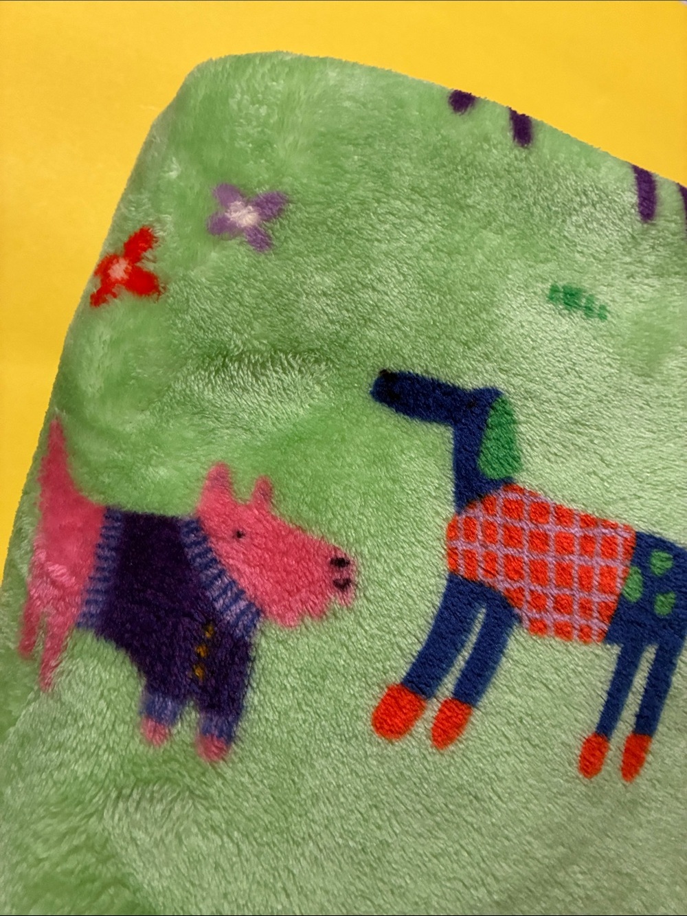 Blankets for Kids (NWOT) - Picture 6 of 12